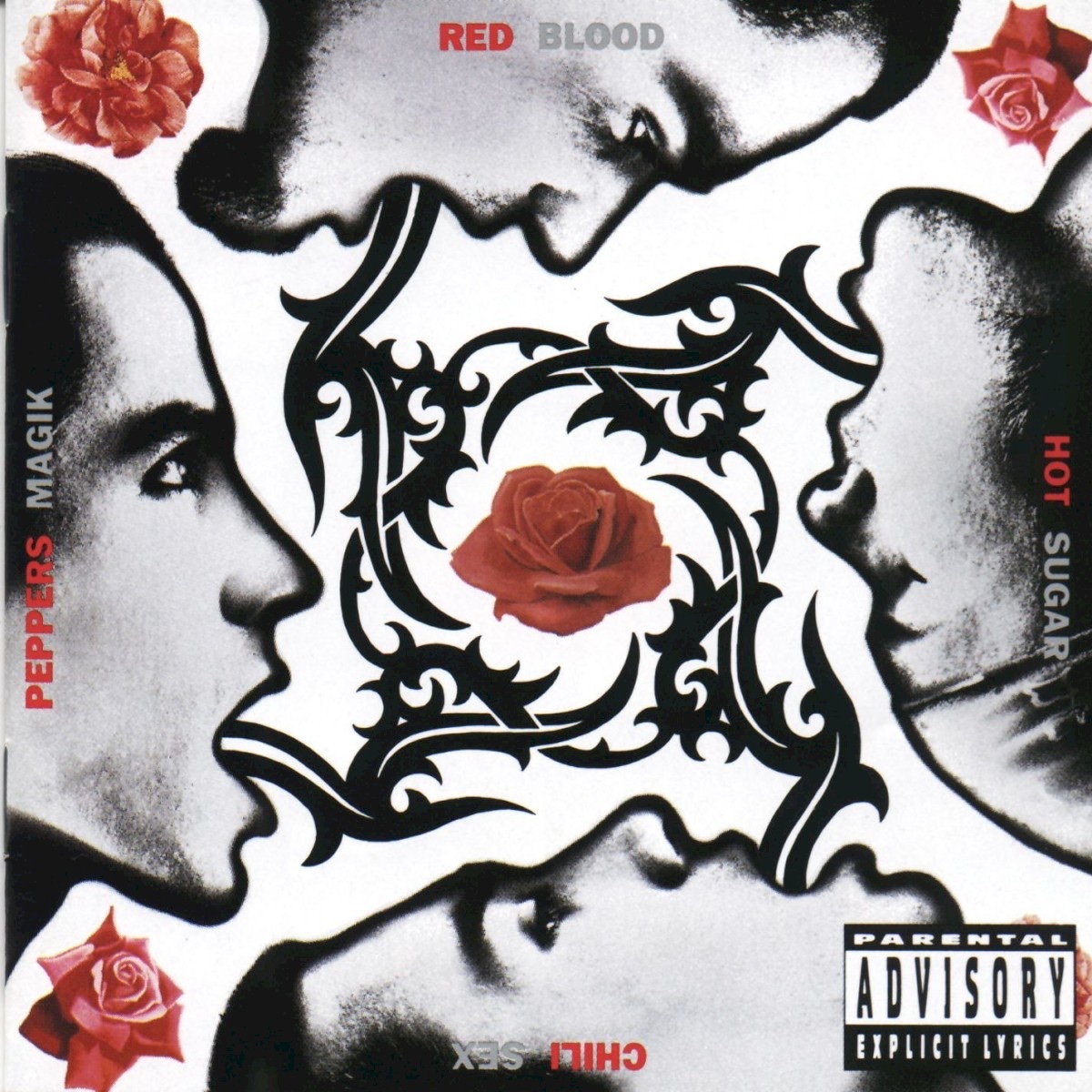 Red Hot Chili Peppers - Blood Sugar Sex Magik album artwork
